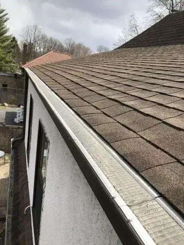 Roof edge and shingle courses above a gutter